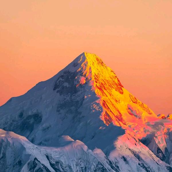 代价就是先生您好