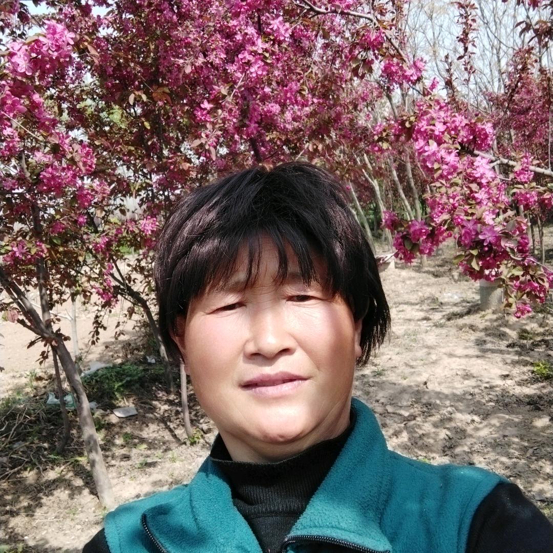 霞姐，晚上7:20开播