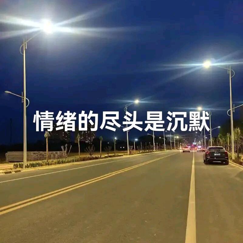 《放手2024》
