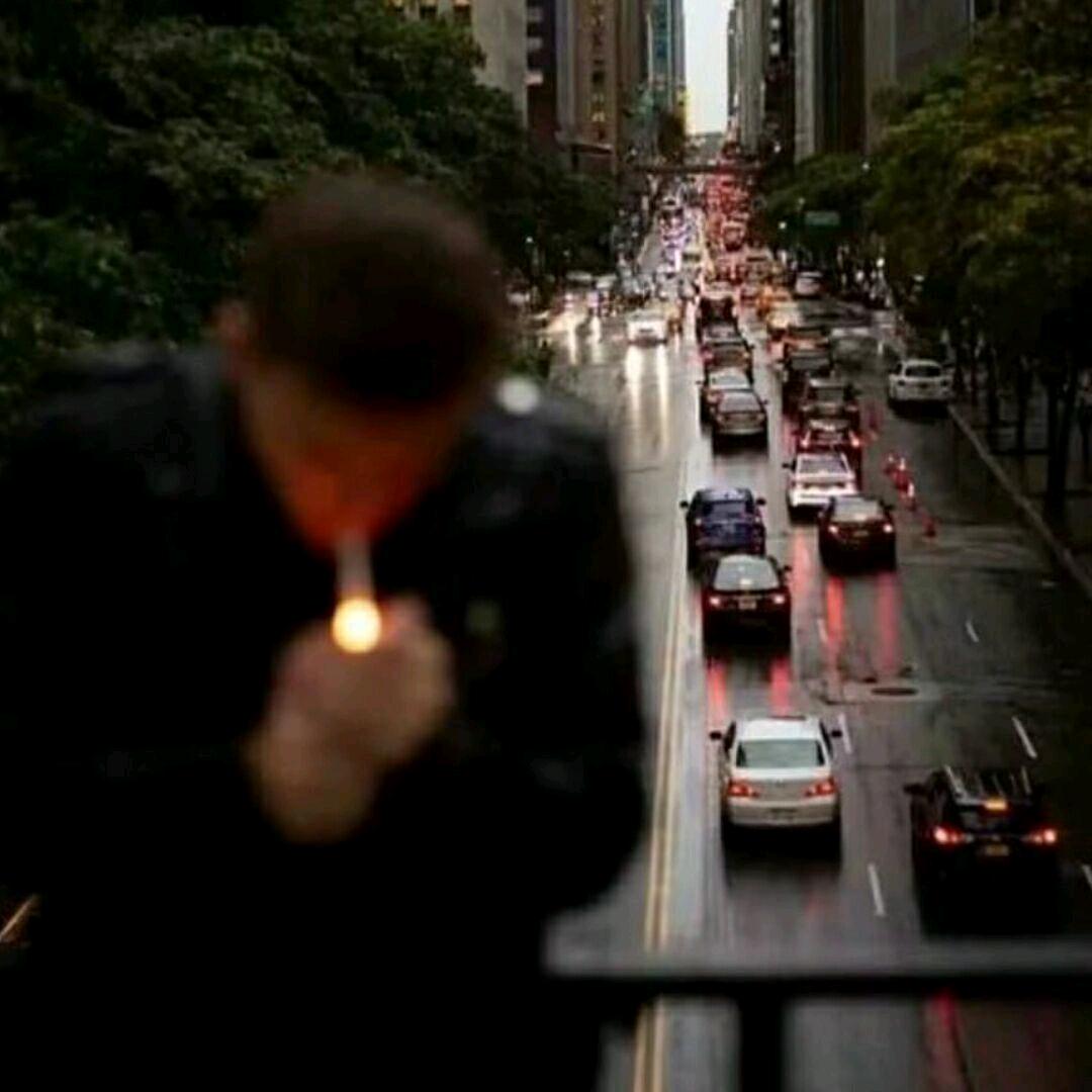 笨蛋总是牛眼泪