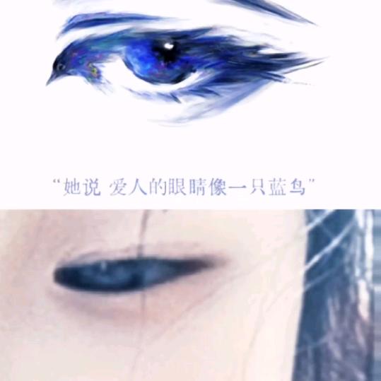 周钰涵快乐成长记