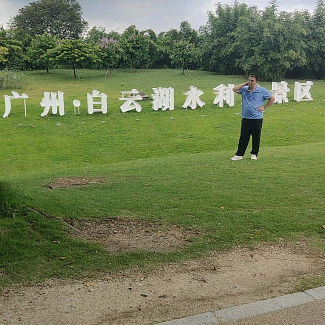 飞翔