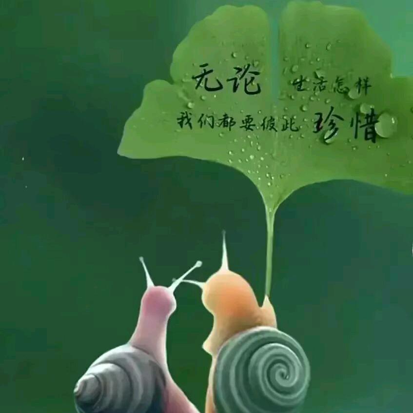 枯萎的狗尾巴草