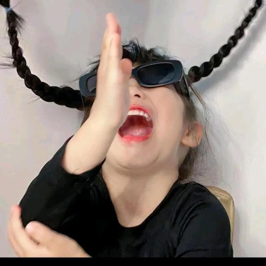 胡同里有只猫i