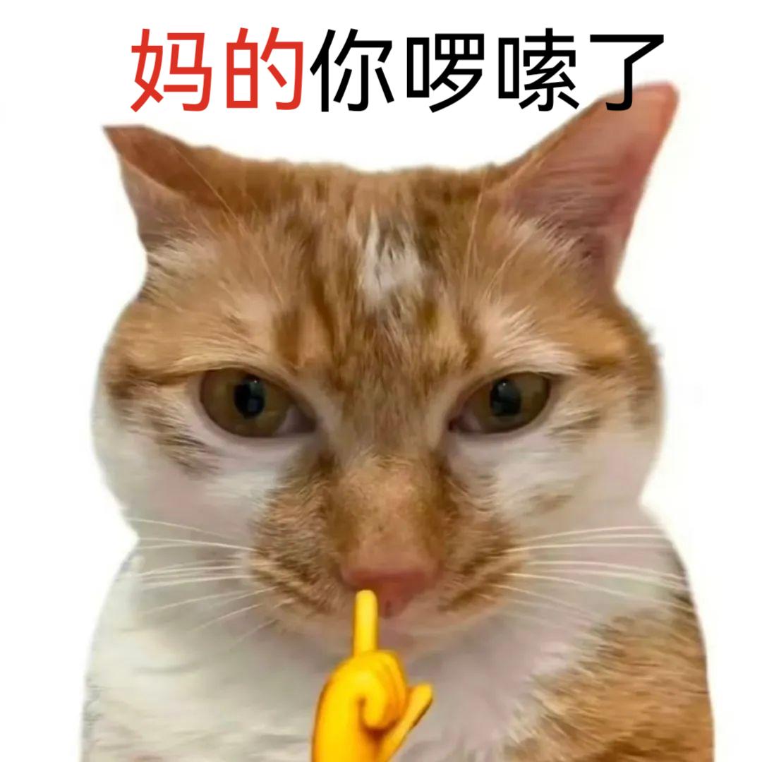 不许抢我被子