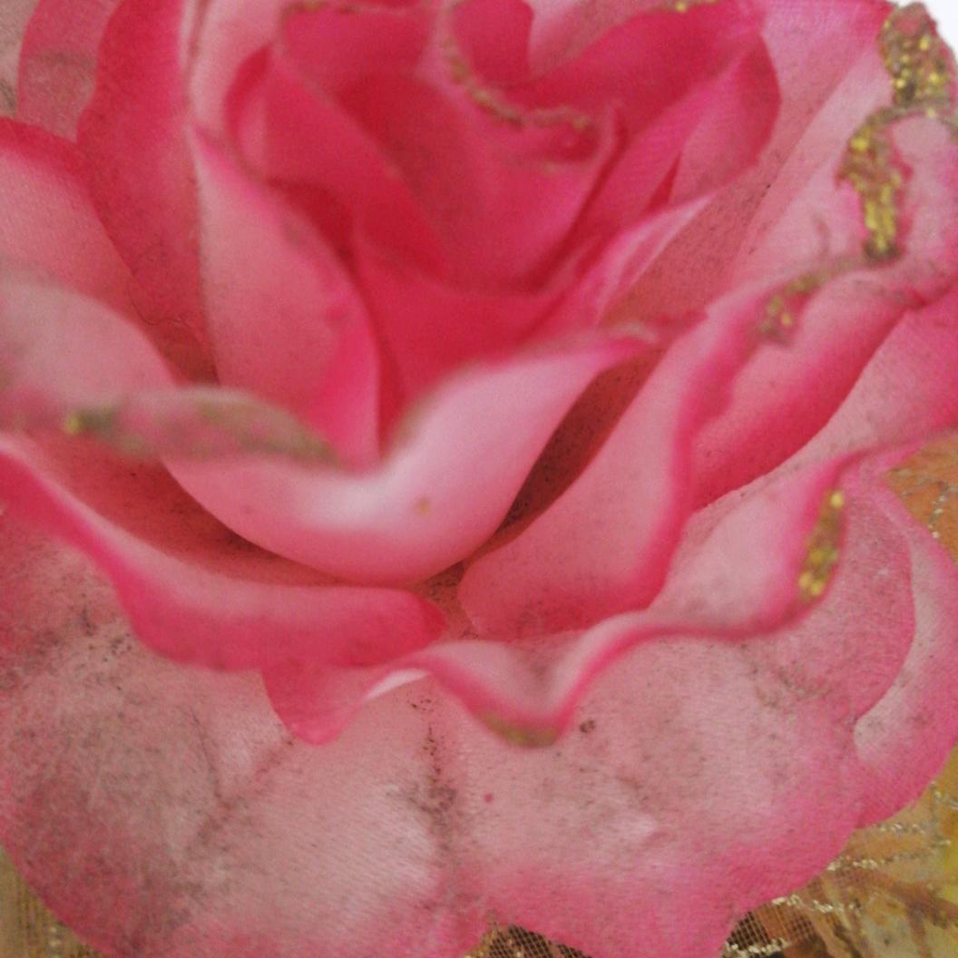 藍色花开