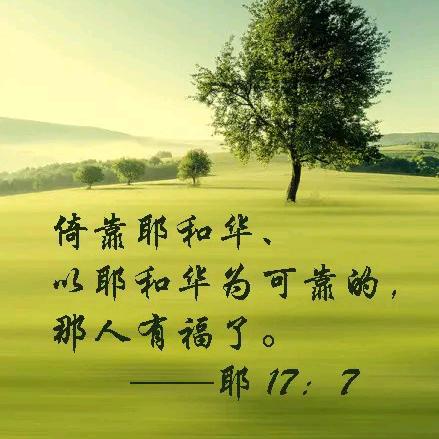 喜羊羊暖洋洋