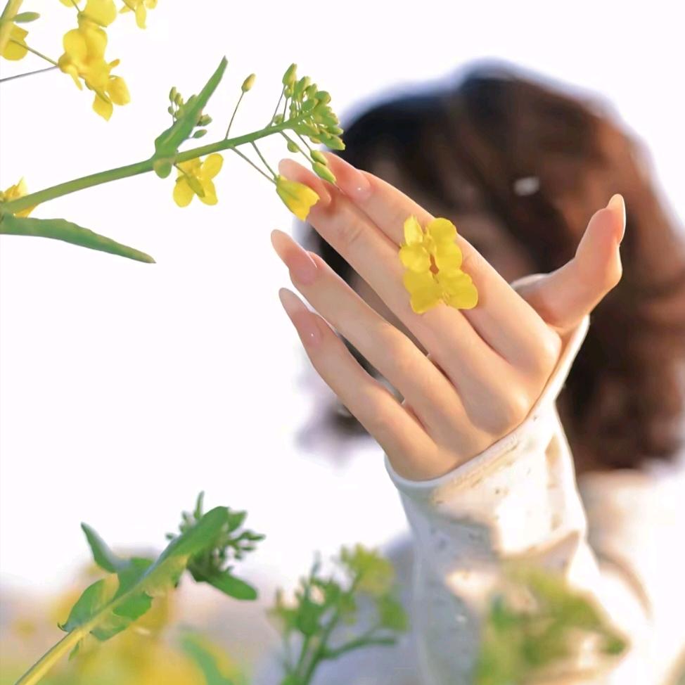 四季🌲安然🌸