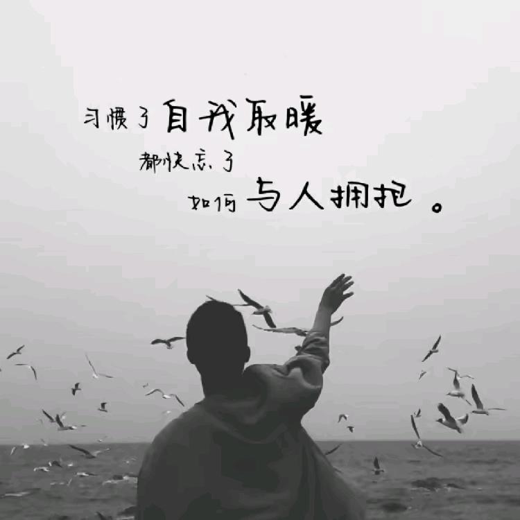 小庞开坦克