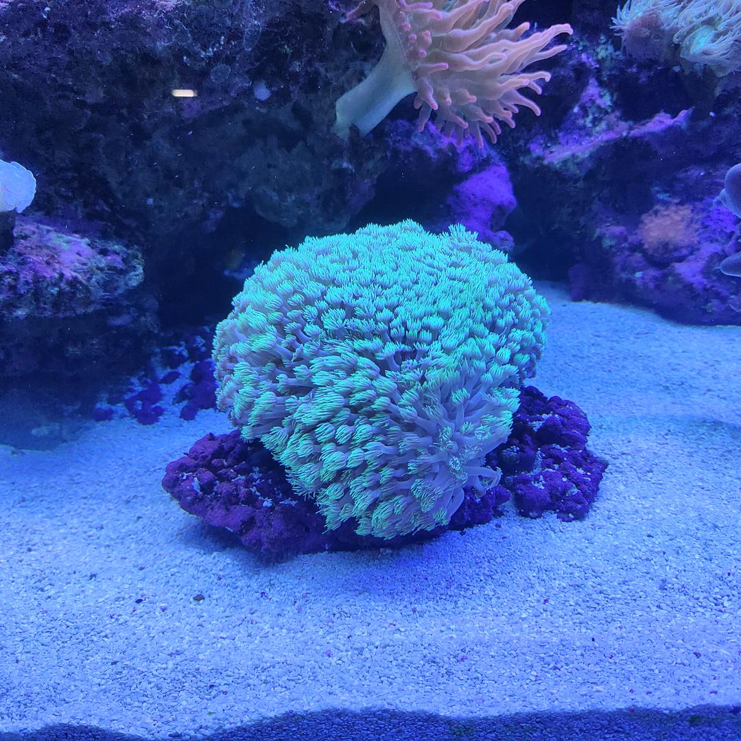 🐟只喂鱼不为鱼🐟