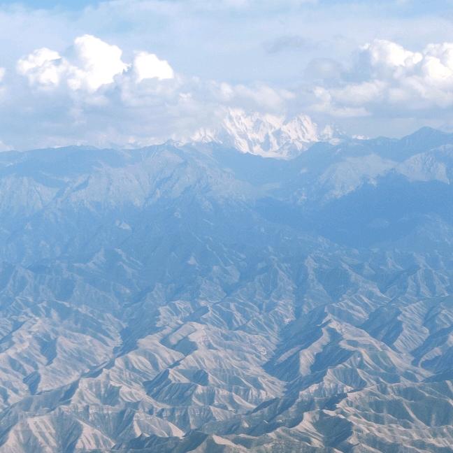 柚̶子̶半̶夏̶♡̶