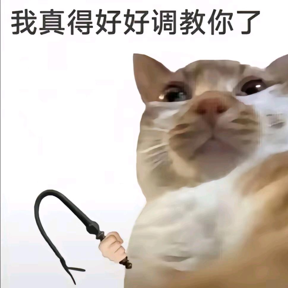 寒鸦栖复惊