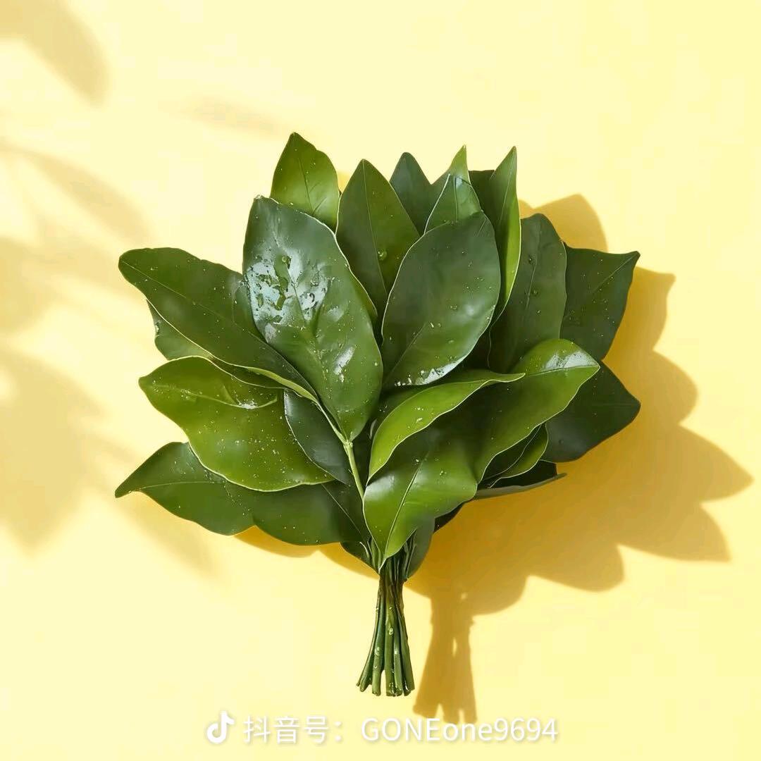 梦梦丫