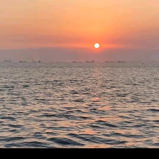 骑着蚂蚁去吃饭