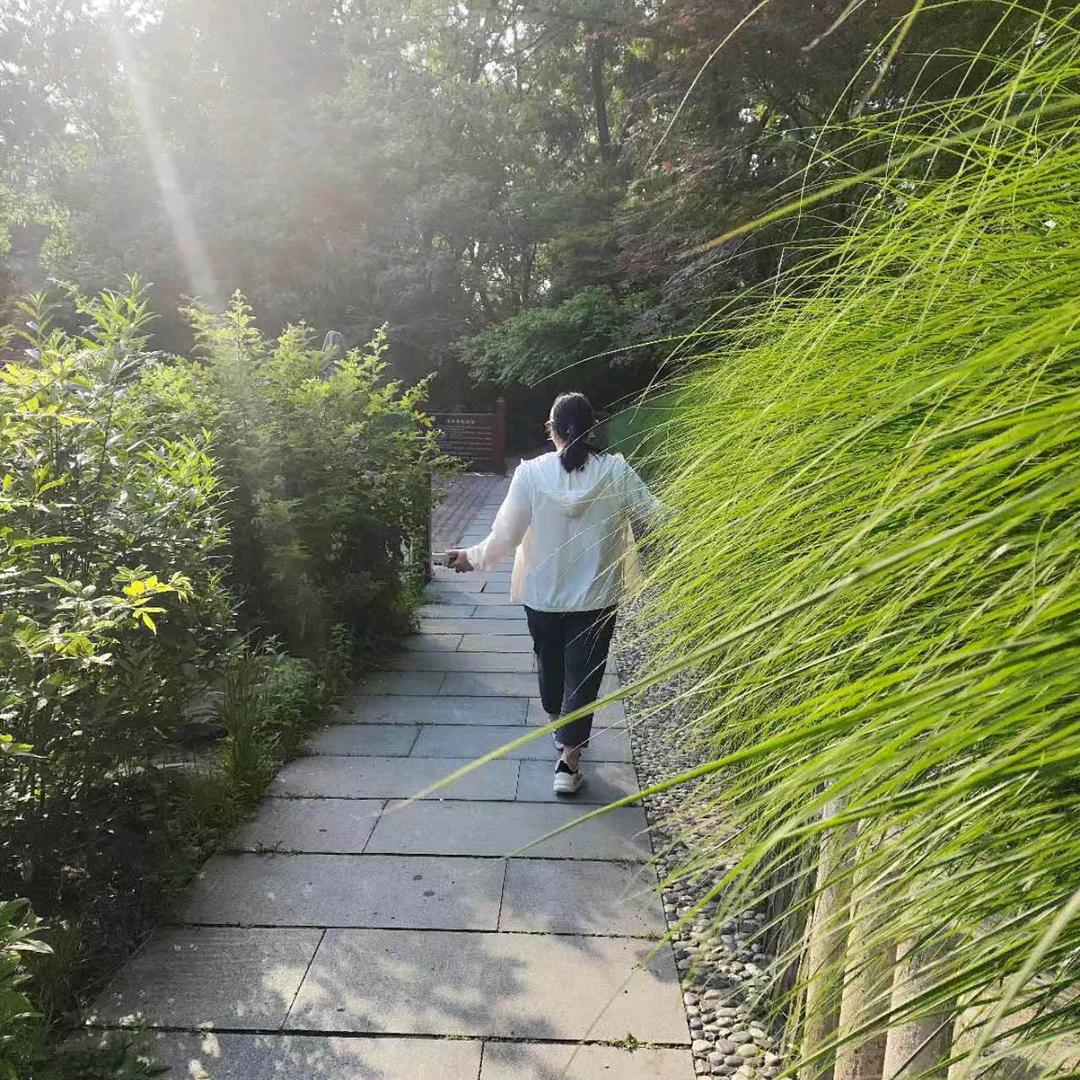 看淡一切🌹🌹🌹🐰🐰