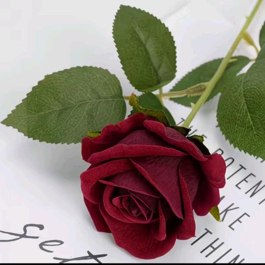HuaLi