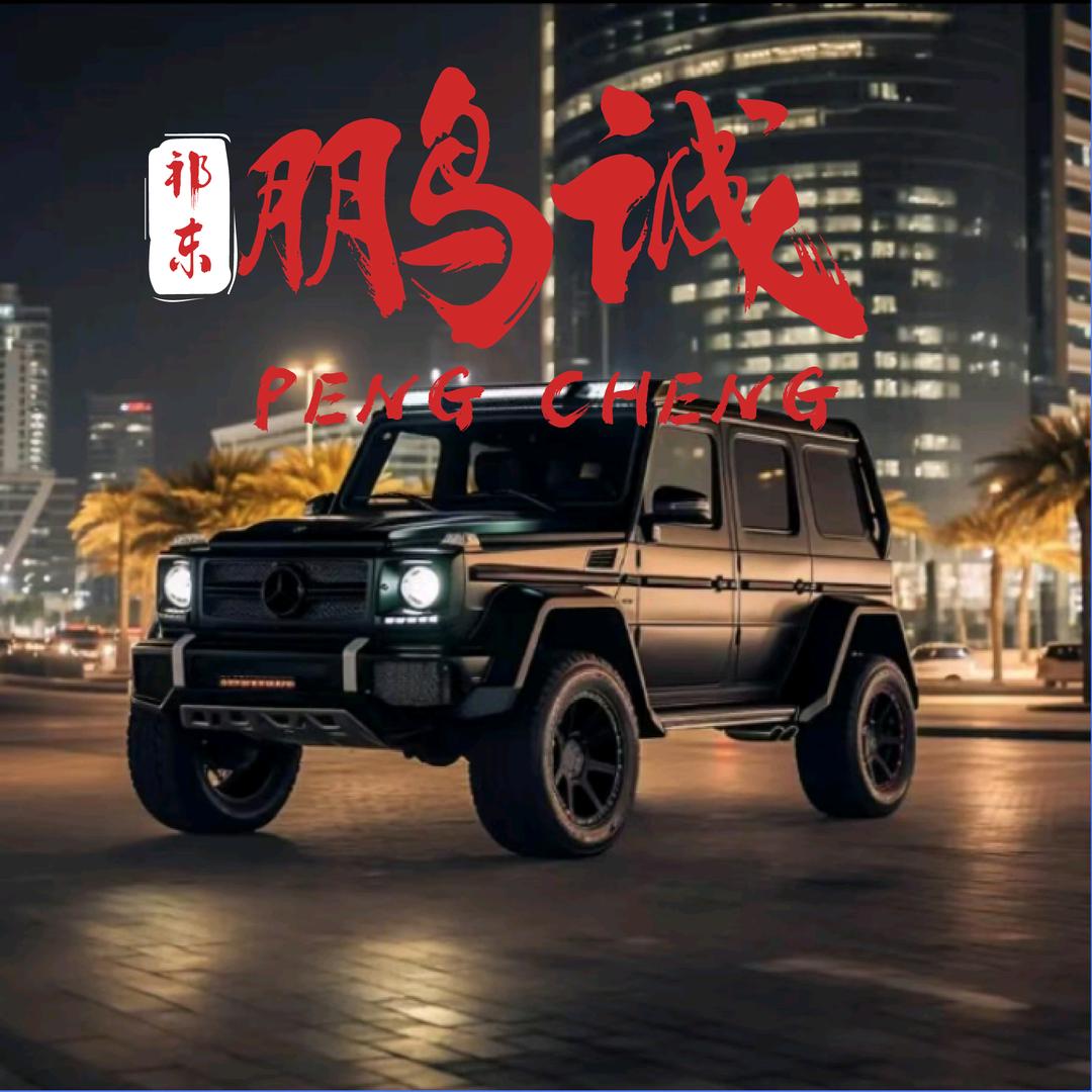 祁东鹏诚二手车