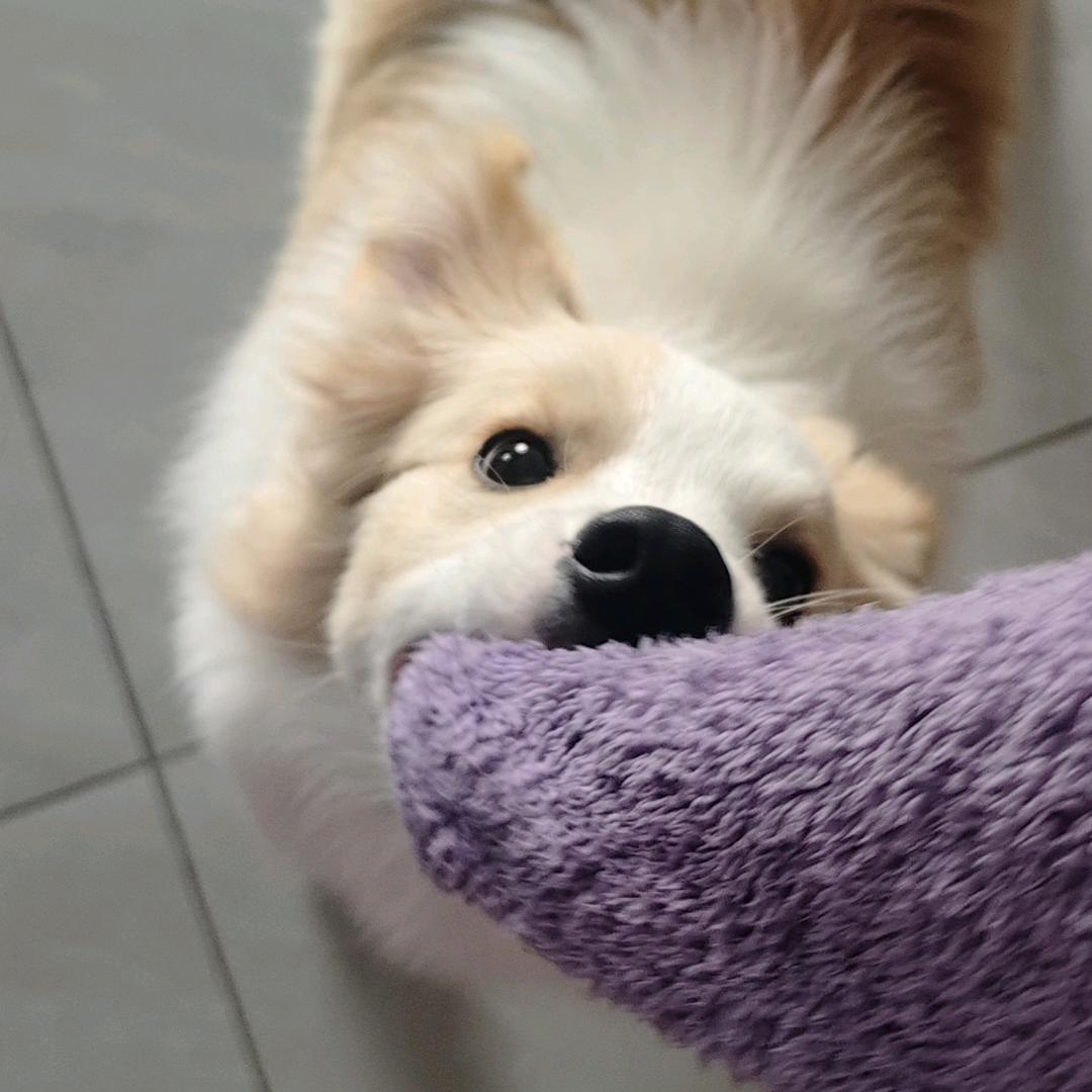 桂雨凌枝(˵¯͒〰¯͒˵)