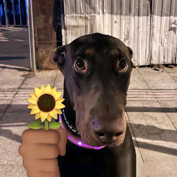 马上开学没钱买起电脑在家死皮赖脸的挂机