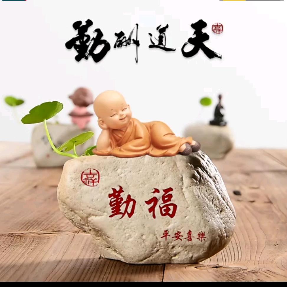 。@天道酬勤（橱窗有好物）