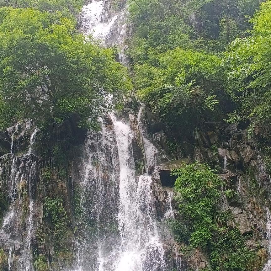 🎍拼搏奋斗