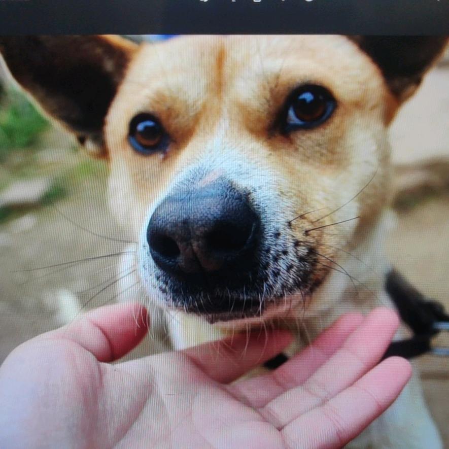 齐迎晨曦比肩夕阳