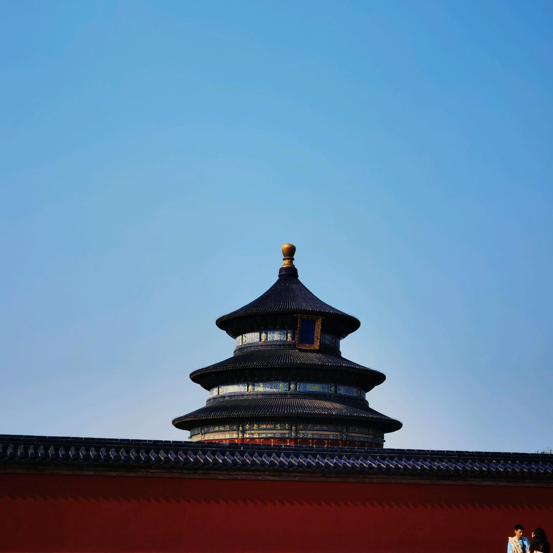 伴喜同行⁵²⁰ （善喜团队招人）