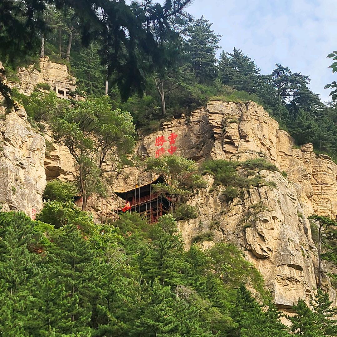 任东西