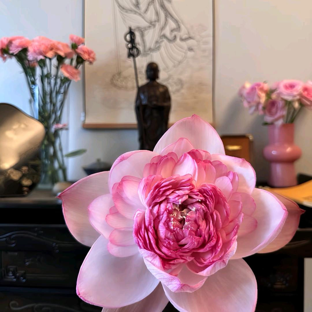 财神爷的小跟班