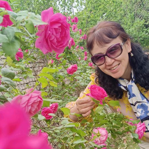 阿尔山峰信宾馆