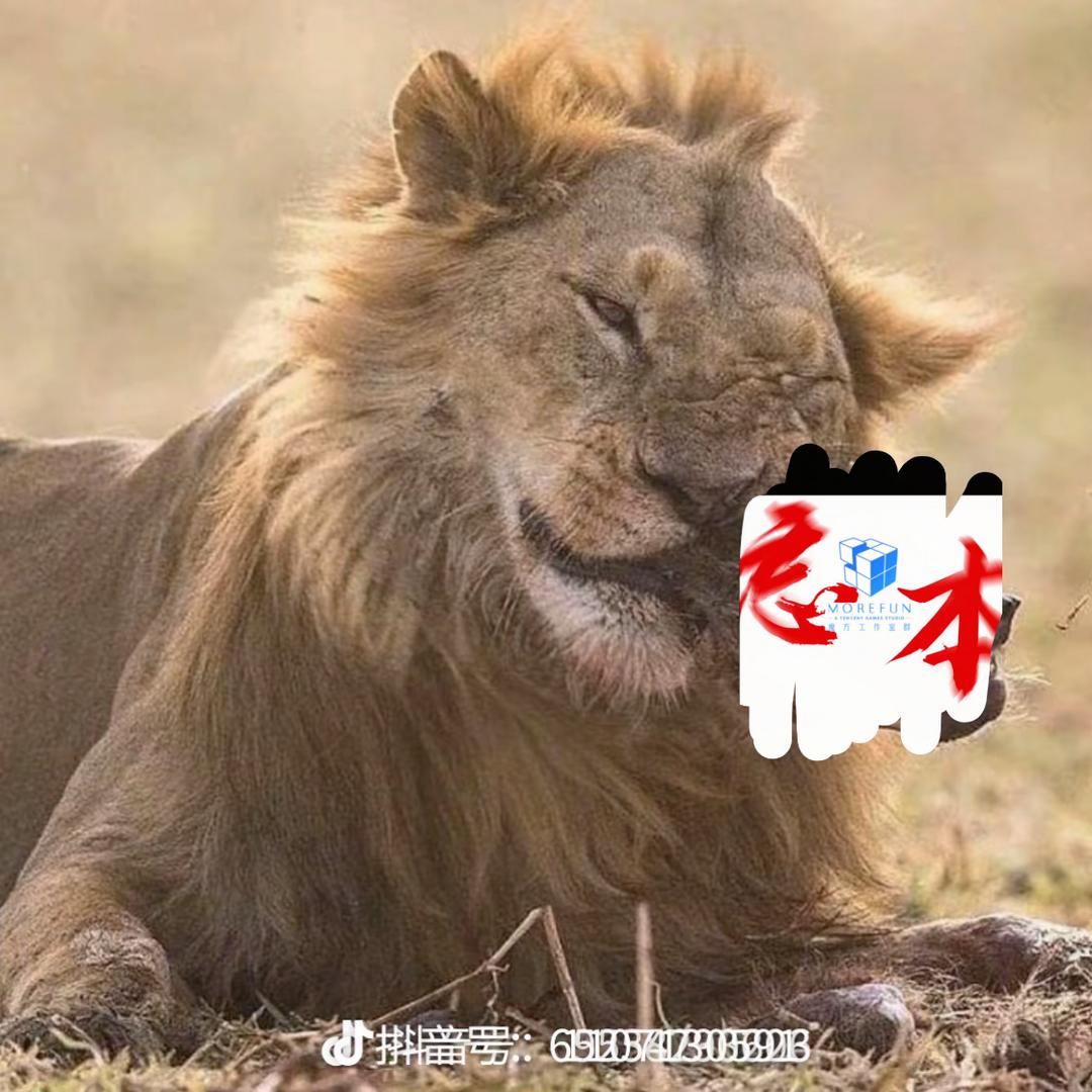 没啥好点赞的