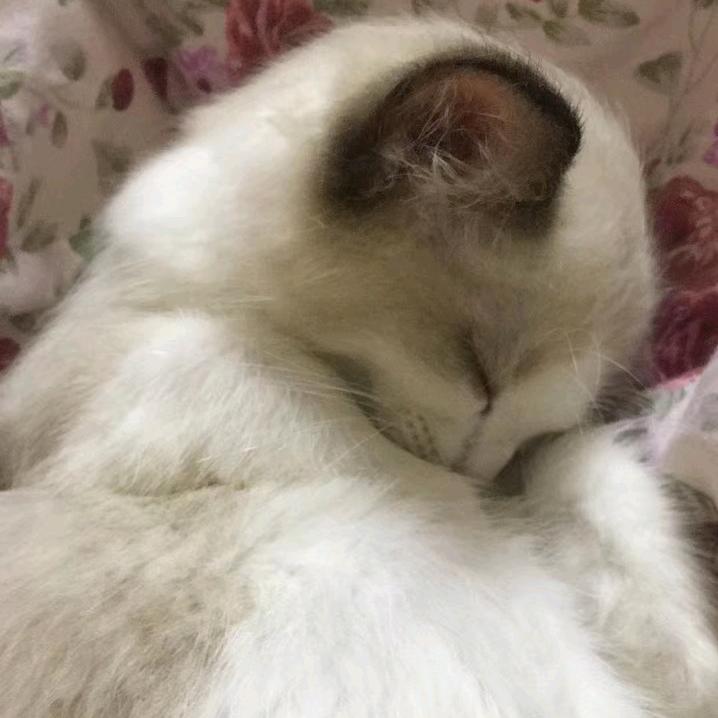 九S