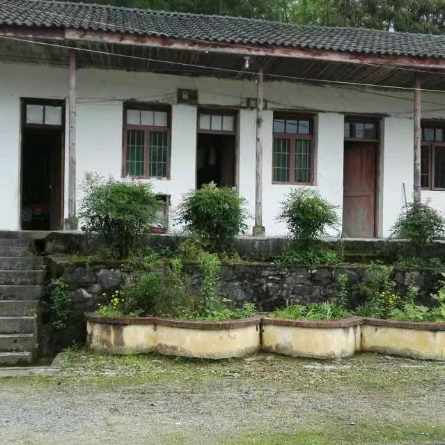 老桂