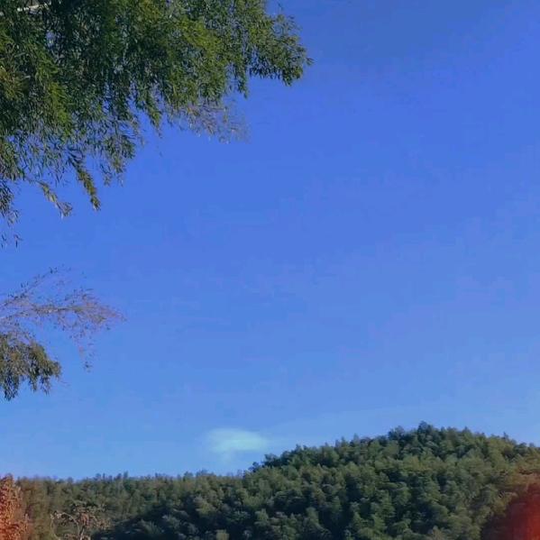 @快乐健康🍎🍎