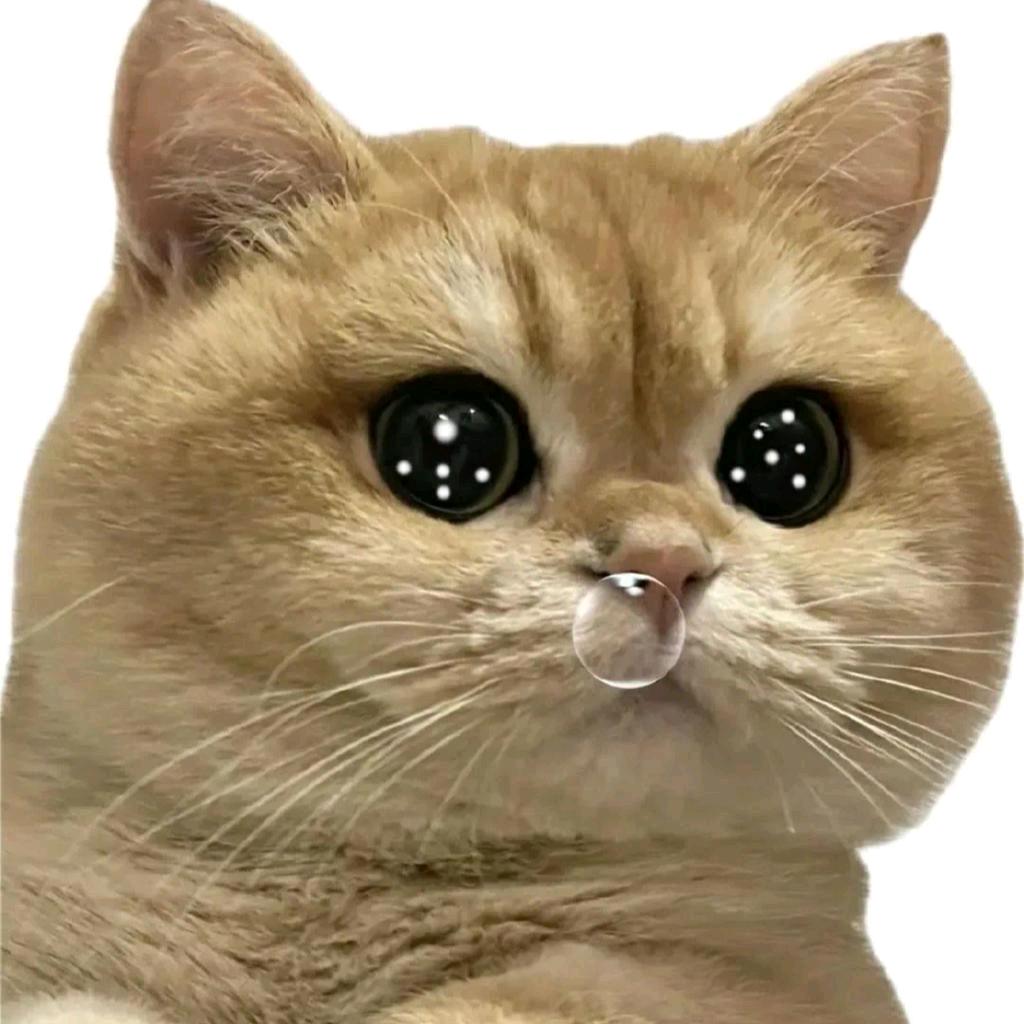 肉包