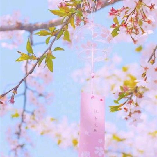 一片空白