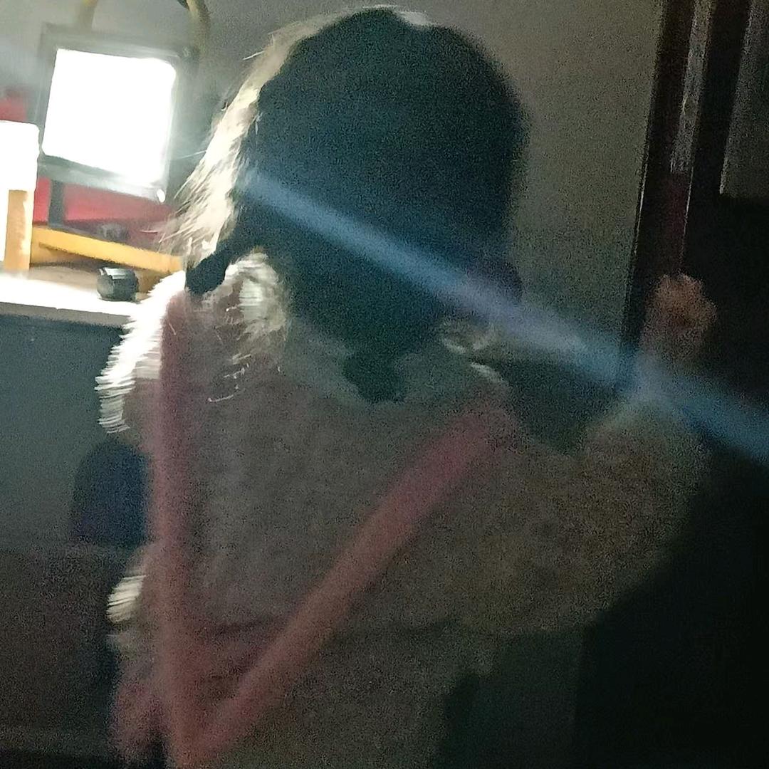 小龙鱼