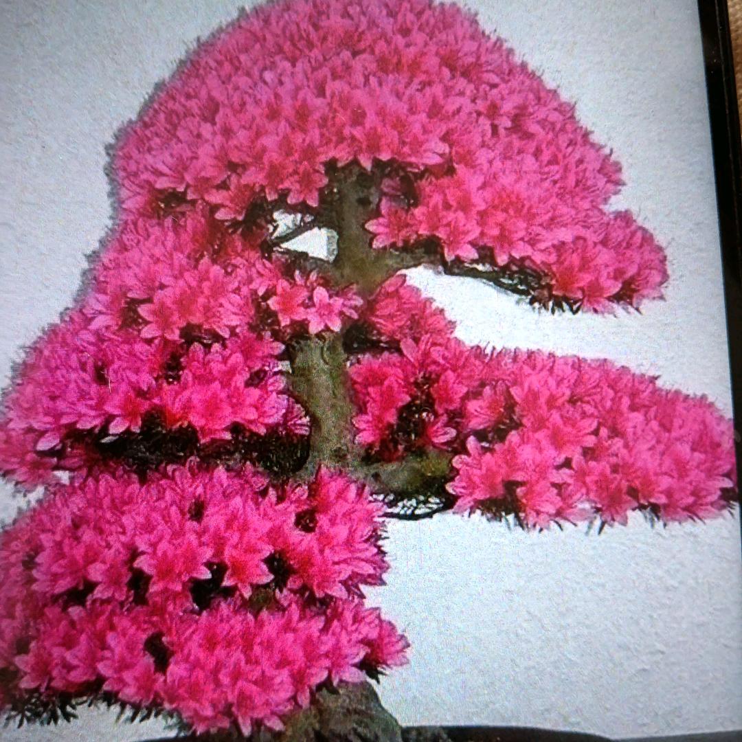 恨你一辈子