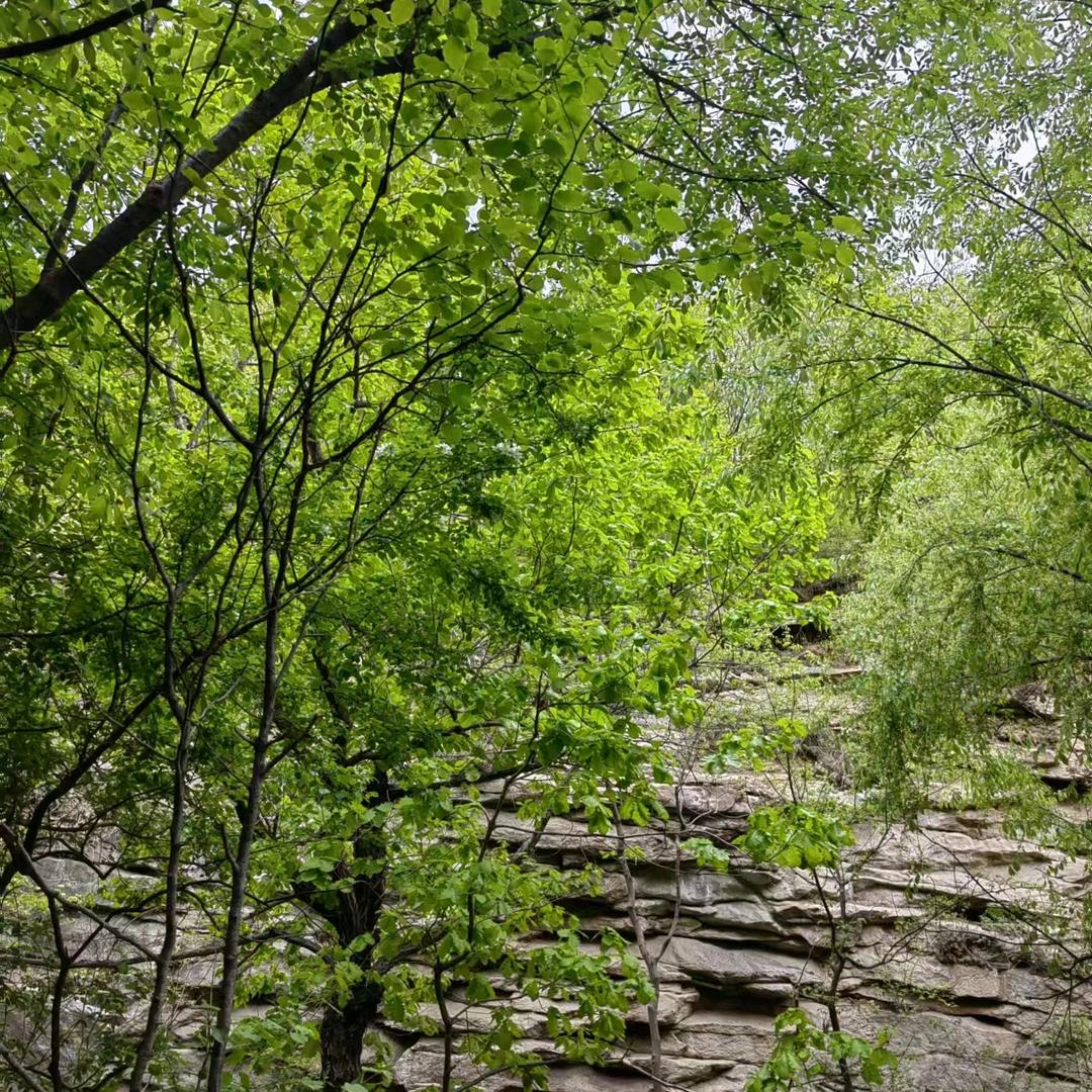 居然之家鲁班系统门窗