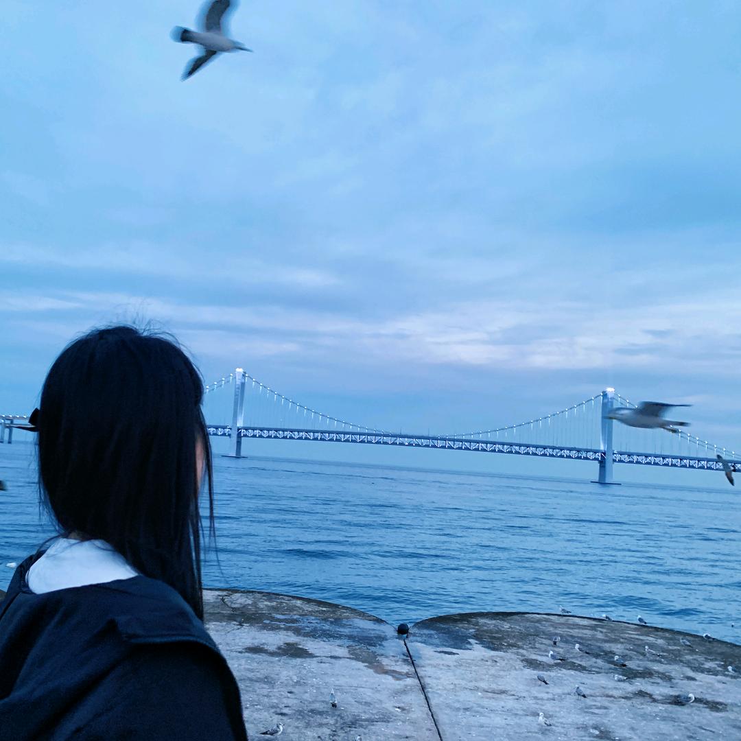 夏清晨