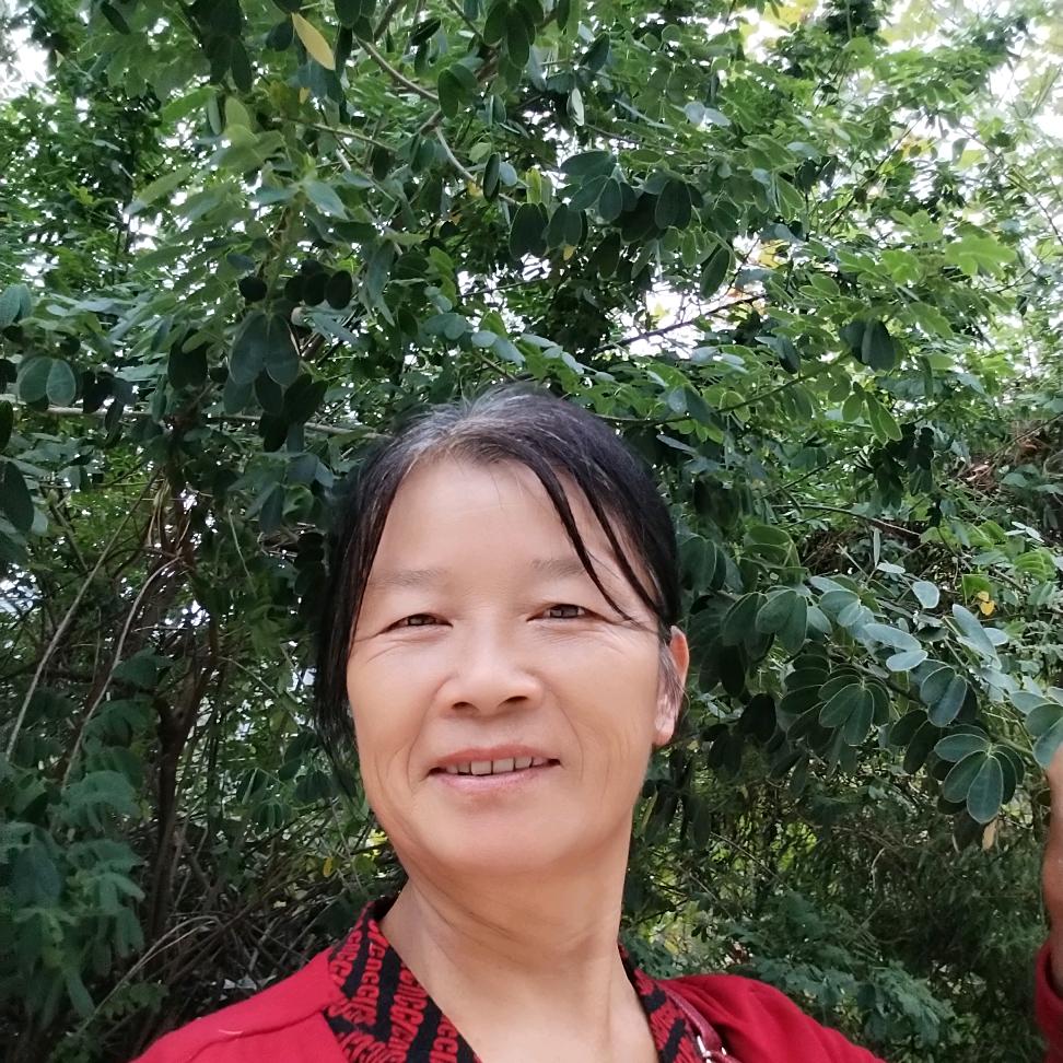 东东妈