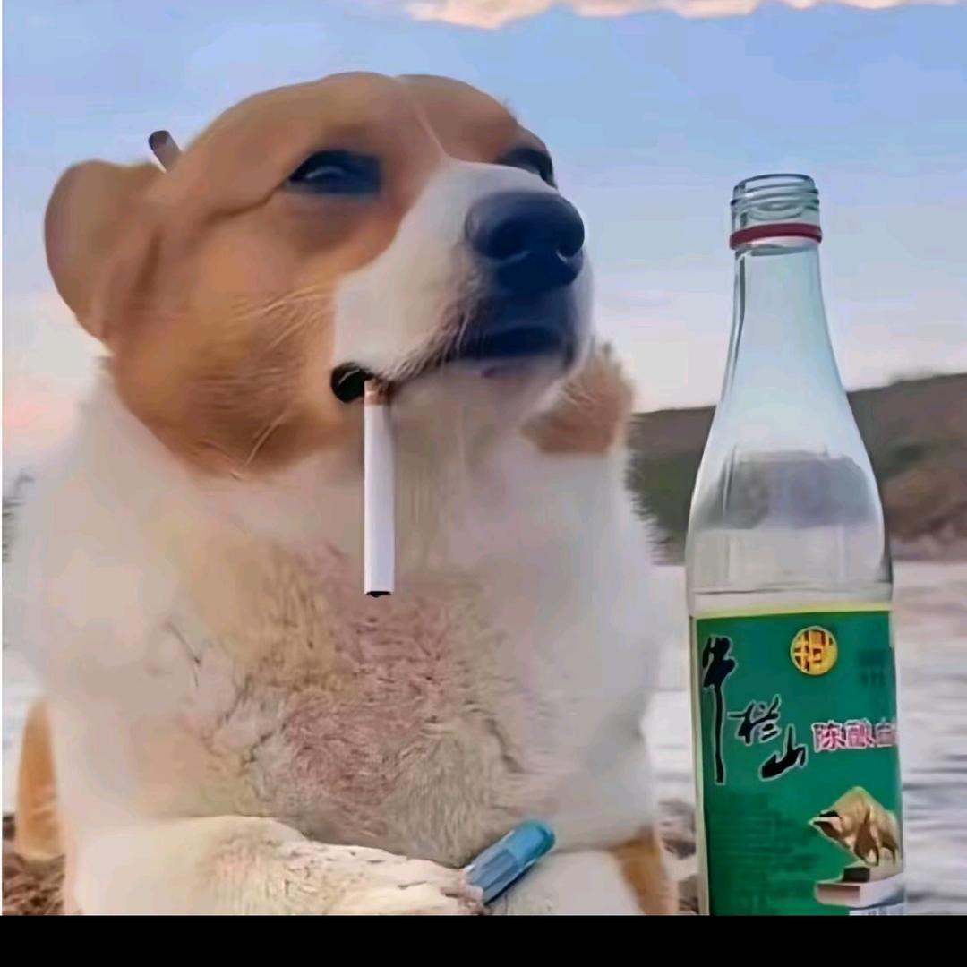 向往