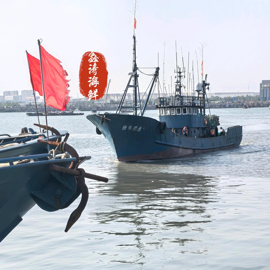 日照鑫涛码头海鲜店