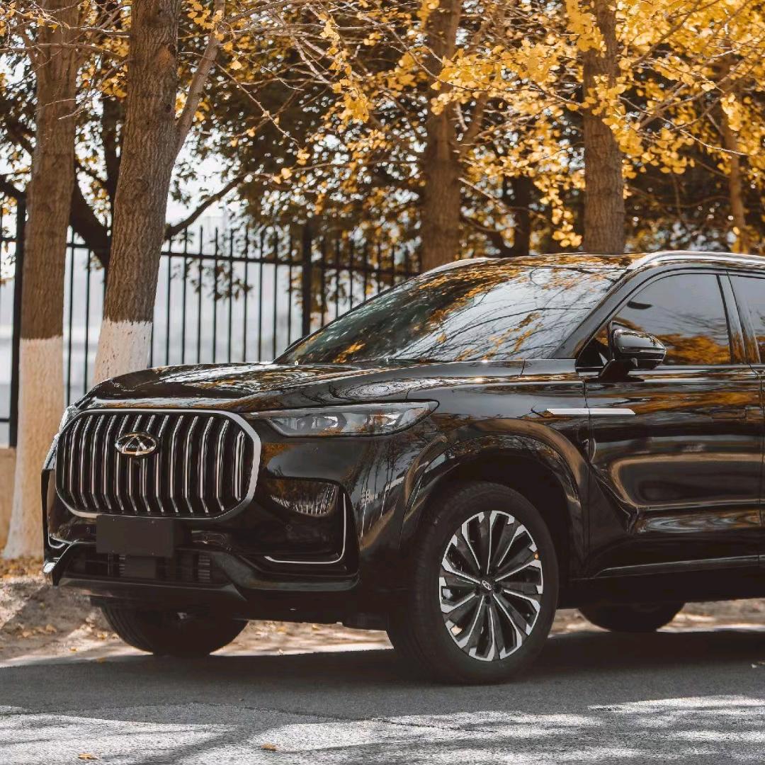 贵州向成奇瑞王漂亮