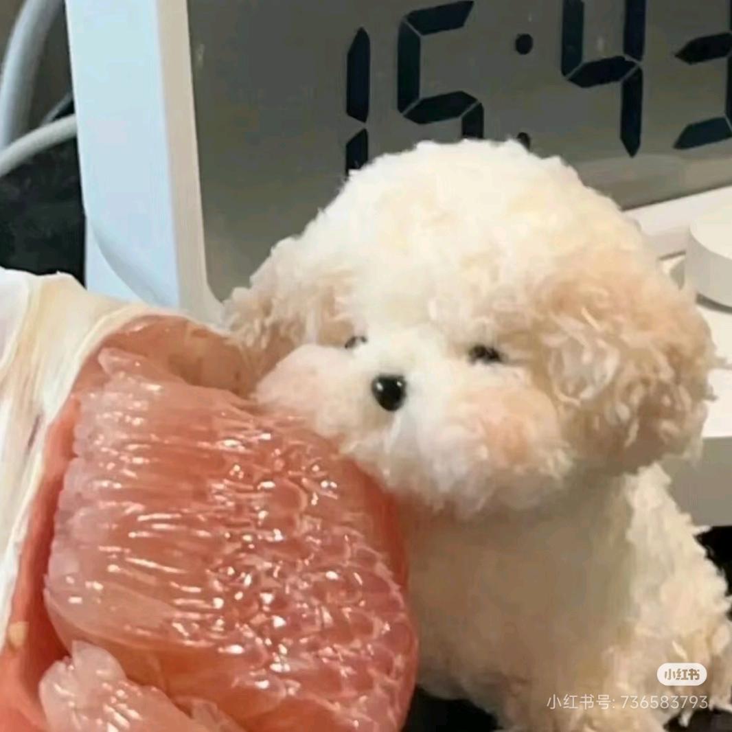 六月