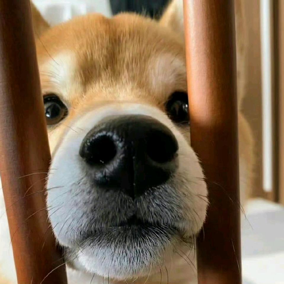 觉是睡不醒的