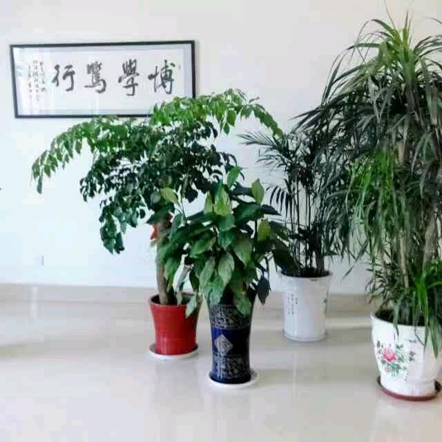 你的笑永远铭记