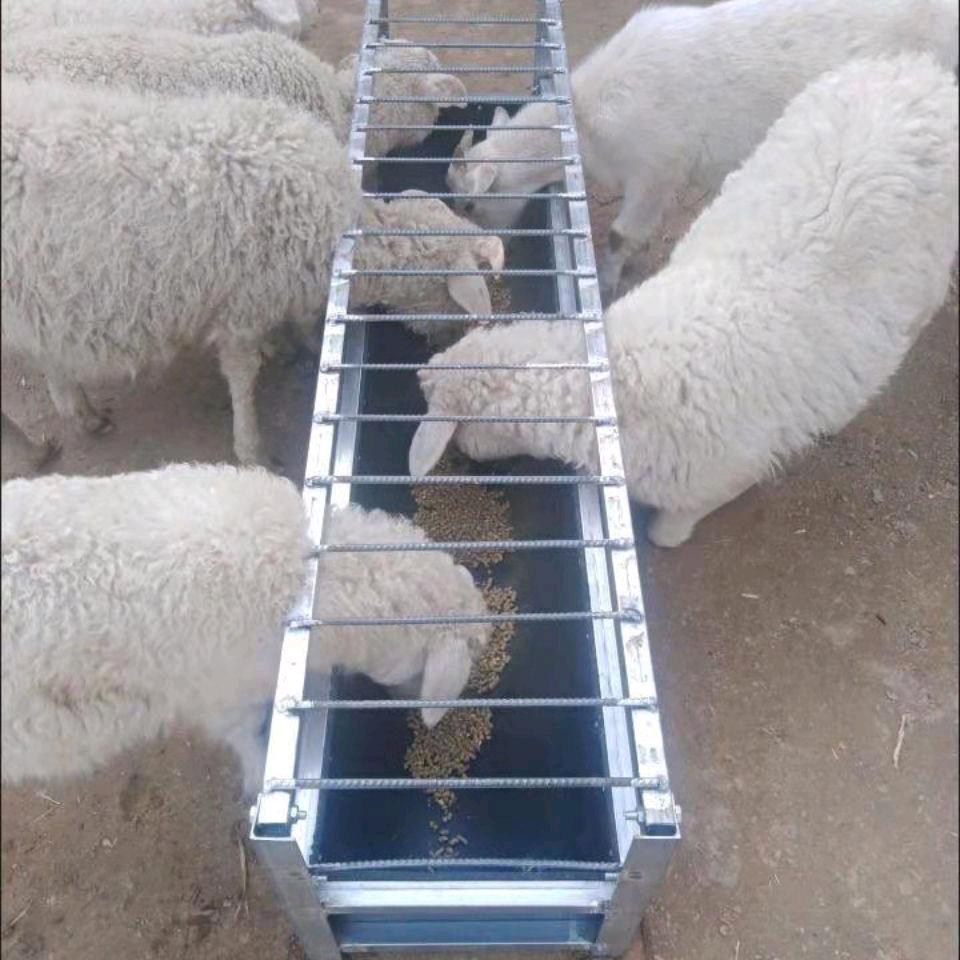 伟牧养殖设备牛羊槽子