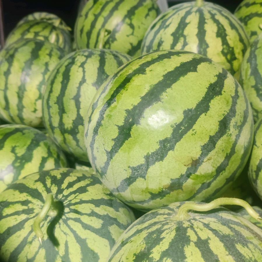 糖炒栗子郝