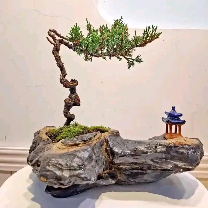铭诚奇石茶盘